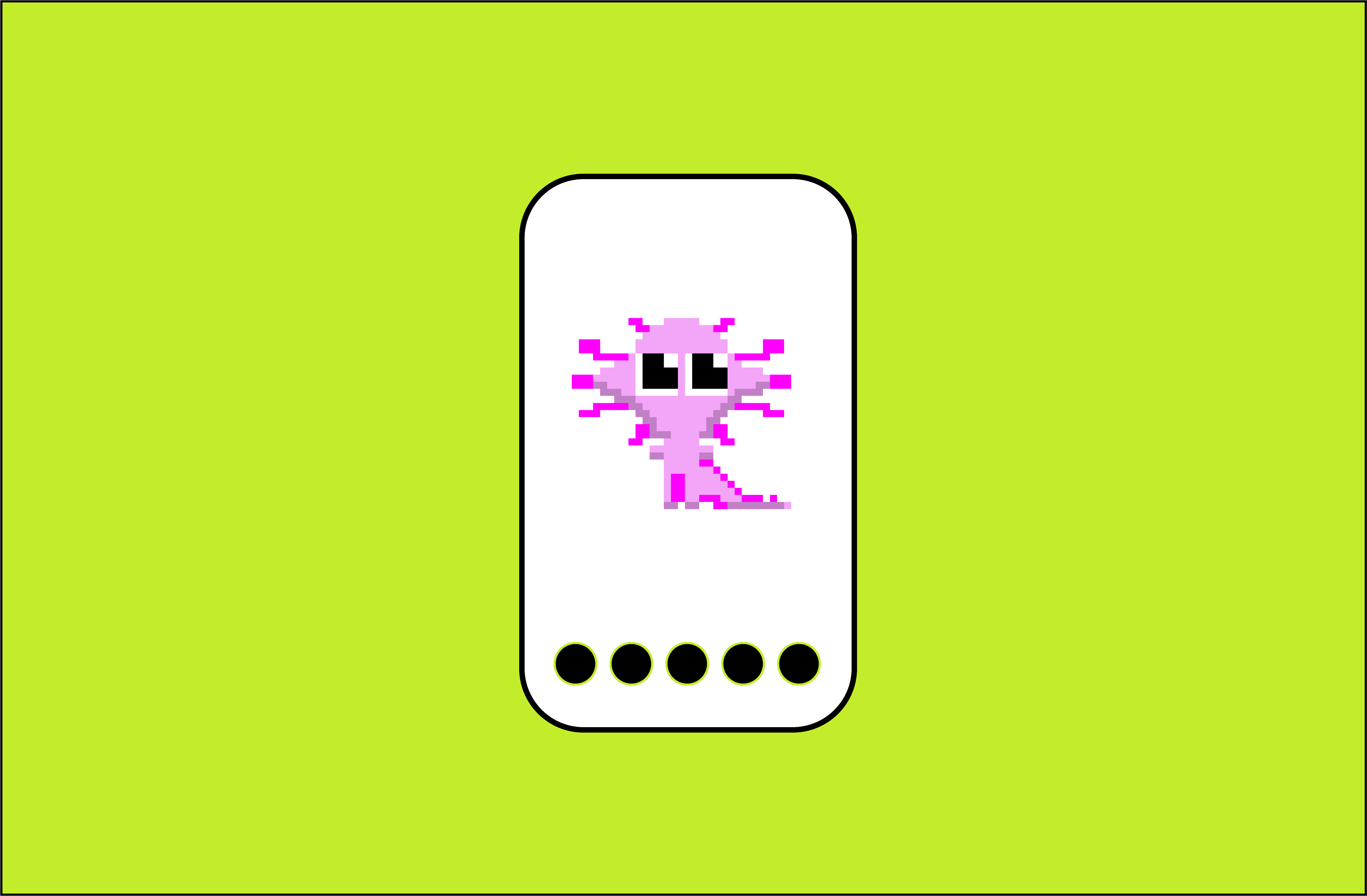 Ollin App